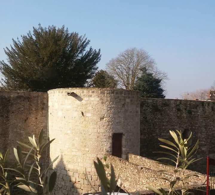 Chambre D'Hote Du Chateau Dourdan Dış mekan fotoğraf